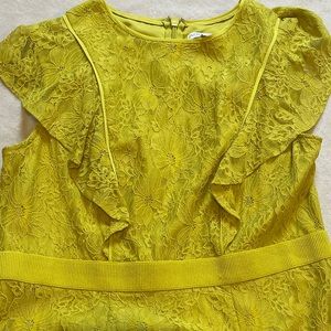 NY&CO Dress (Lace), Color Pea Green, Size 18